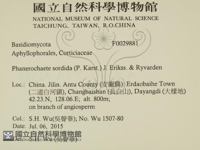 登錄號:F0029881藏品圖，第2張