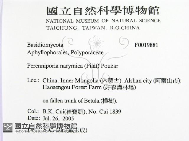 登錄號:F0019881藏品圖，第2張