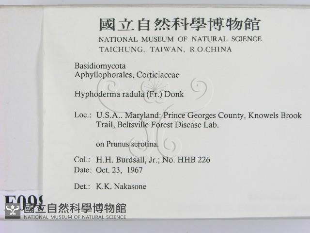 登錄號:F0000981藏品圖，第2張