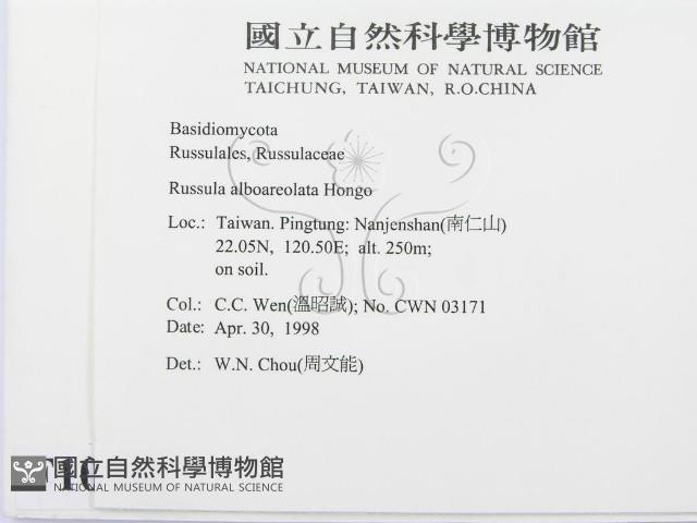 登錄號:F0010981藏品圖，第2張