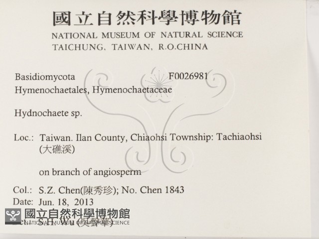 登錄號:F0026981藏品圖，第2張