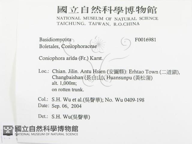 登錄號:F0016981藏品圖，第2張