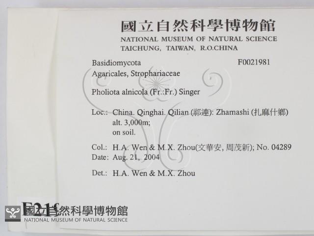 登錄號:F0021981藏品圖，第2張