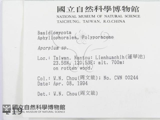 登錄號:F0001981藏品圖，第2張