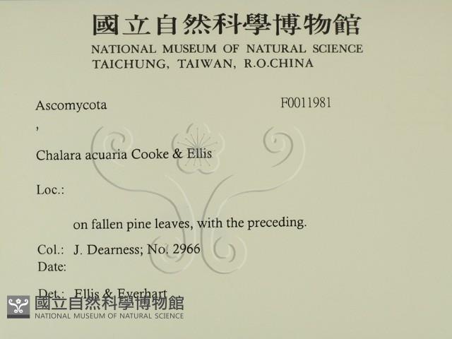 登錄號:F0011981藏品圖，第2張