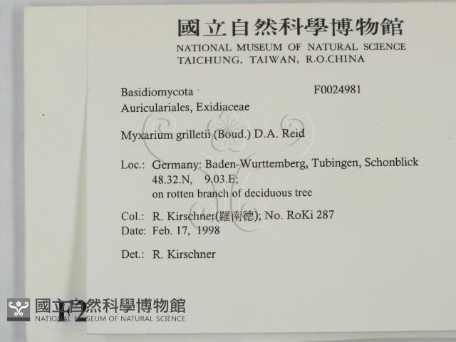 登錄號:F0024981藏品圖，第2張