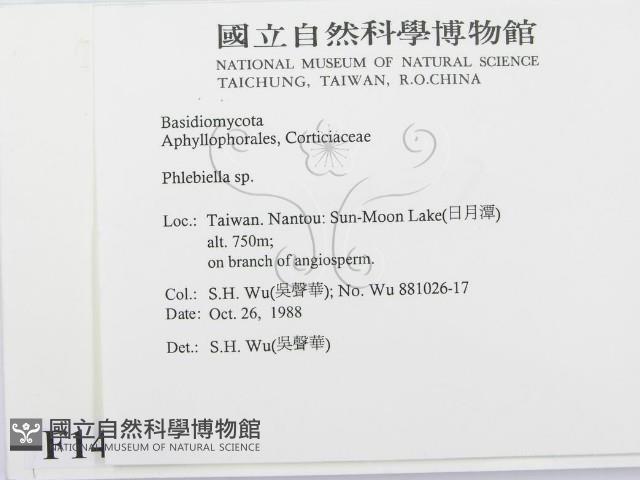 登錄號:F0014981藏品圖，第2張