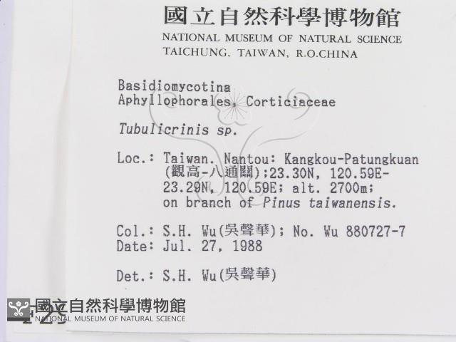 Accession Number:F0002981 Collection Image, Figure 2, Total 4 Figures