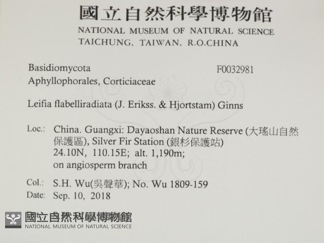 登錄號:F0032981藏品圖，第2張