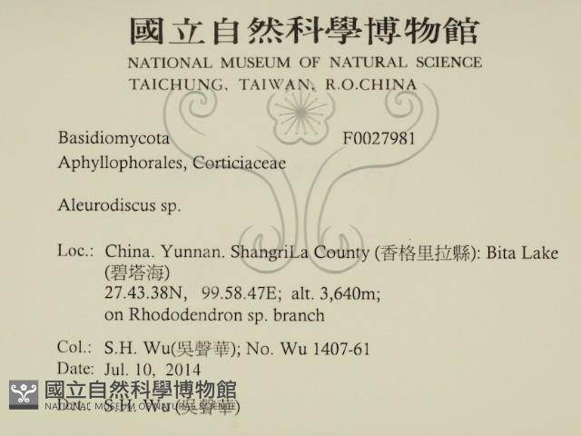 登錄號:F0027981藏品圖，第2張