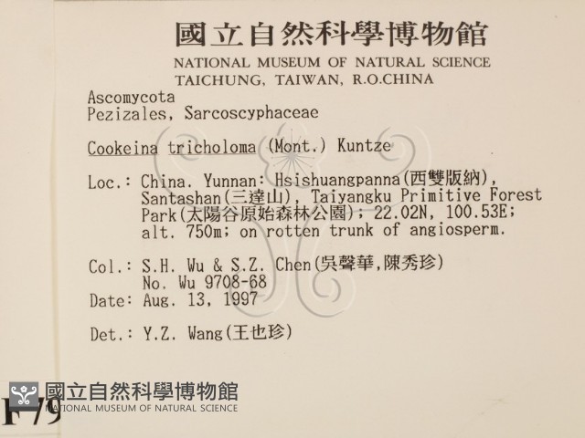 登錄號:F0007981藏品圖，第2張