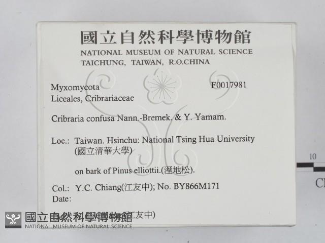 登錄號:F0017981藏品圖，第2張