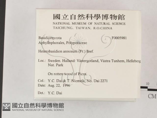 登錄號:F0005981藏品圖，第2張