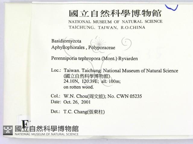 登錄號:F0015981藏品圖，第2張