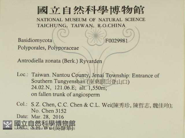 登錄號:F0029981藏品圖，第2張