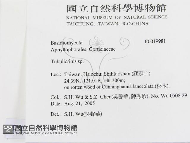 登錄號:F0019981藏品圖，第2張