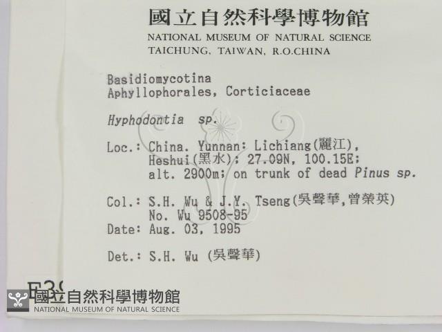 登錄號:F0003981藏品圖，第2張