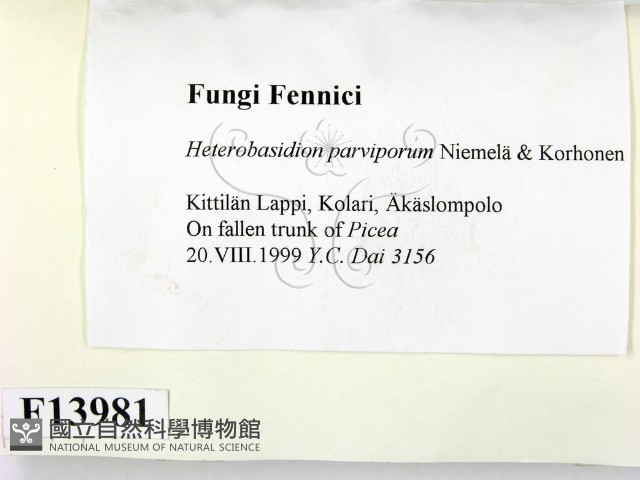 登錄號:F0013981藏品圖，第2張