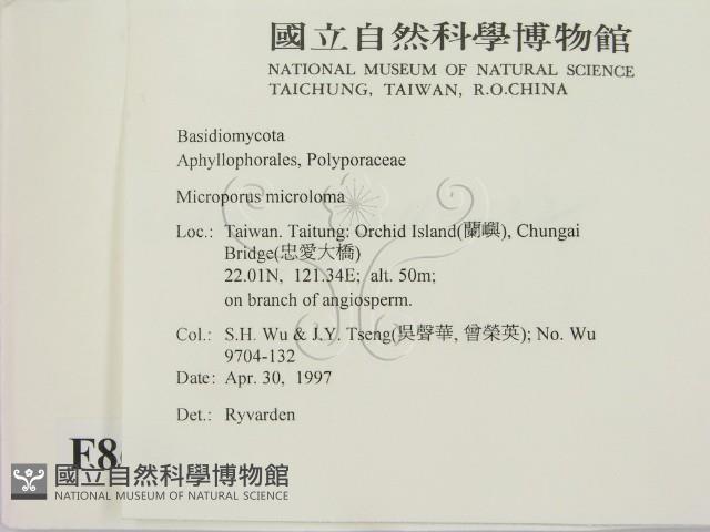 登錄號:F0008681藏品圖，第2張