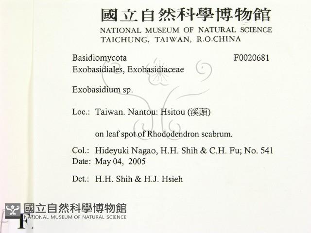 登錄號:F0020681藏品圖，第2張