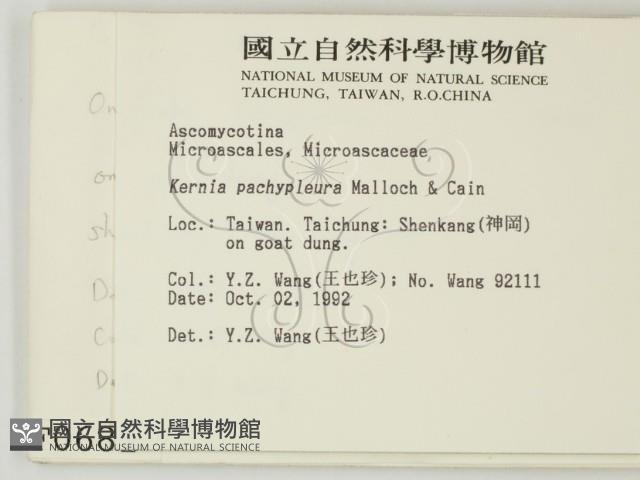 登錄號:F0000681藏品圖，第2張