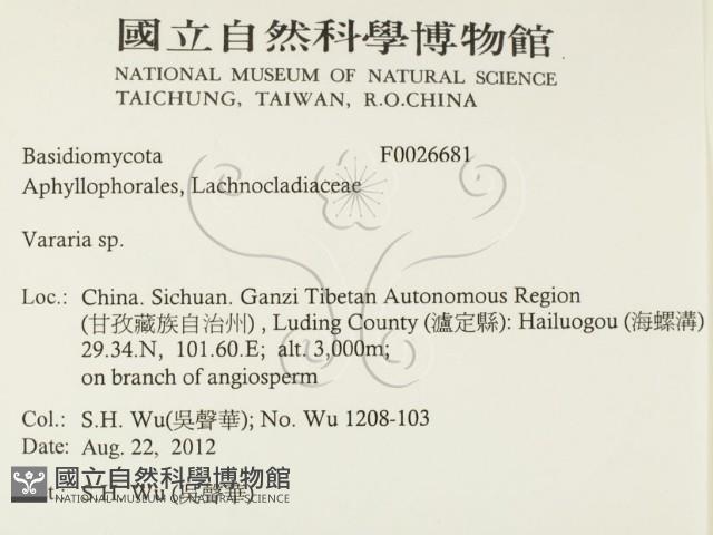 登錄號:F0026681藏品圖，第2張