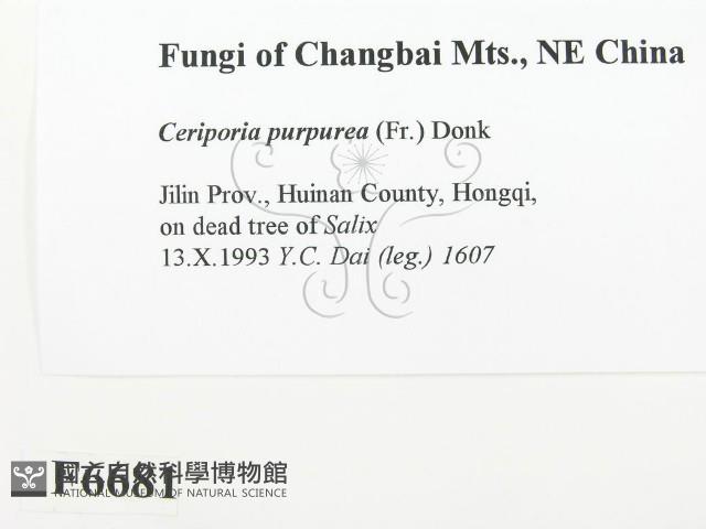 登錄號:F0006681藏品圖，第2張