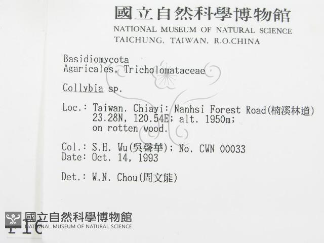 登錄號:F0001681藏品圖，第2張