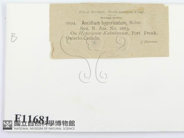 登錄號:F0011681藏品圖，第2張