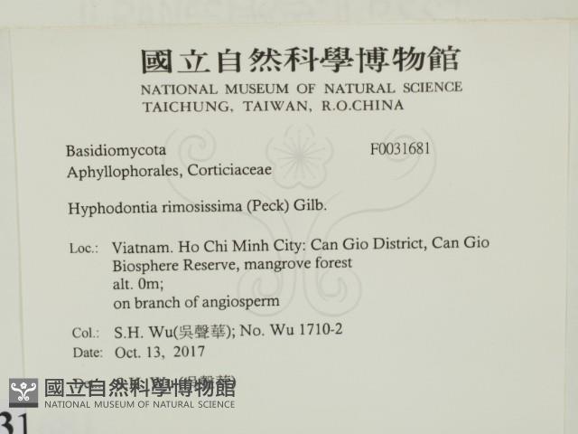登錄號:F0031681藏品圖，第2張