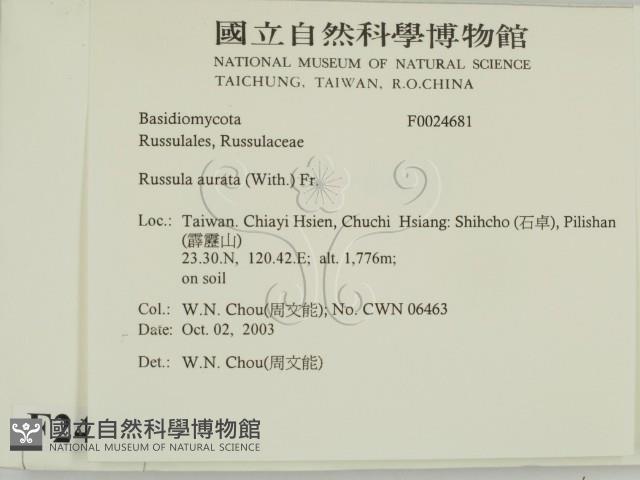 登錄號:F0024681藏品圖，第2張