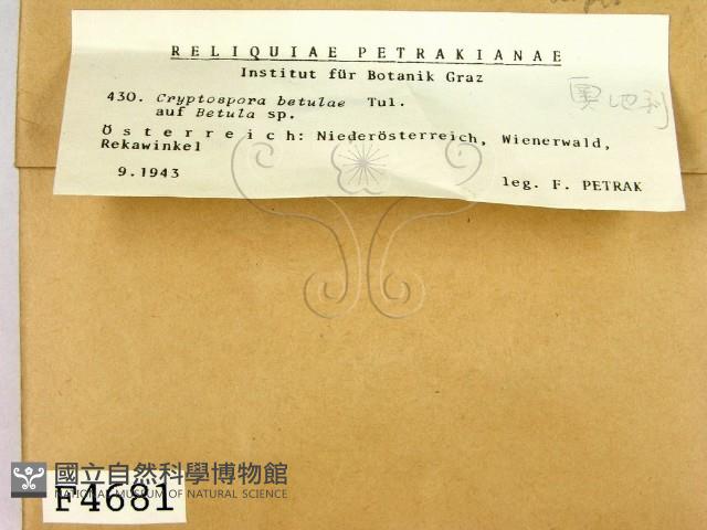 登錄號:F0004681藏品圖，第2張