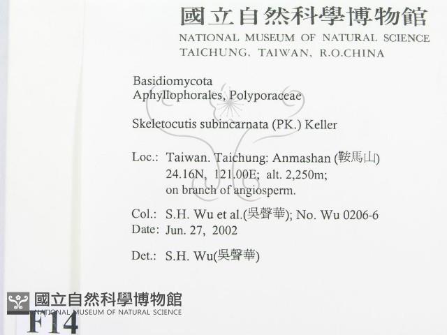 登錄號:F0014681藏品圖，第2張