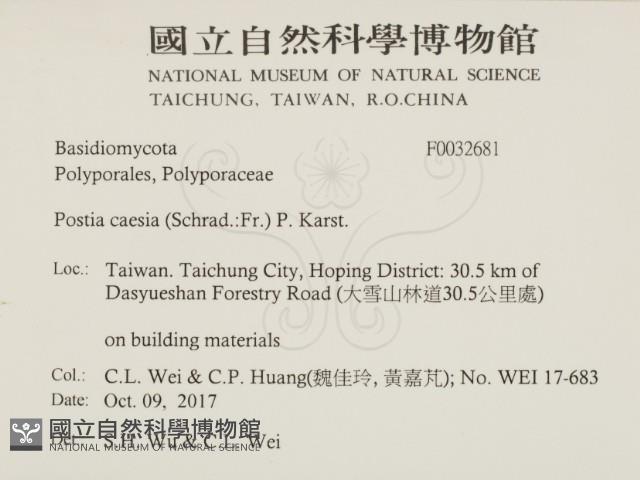 登錄號:F0032681藏品圖，第2張