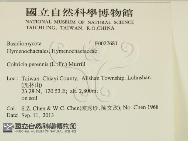 登錄號:F0027681藏品圖，第2張
