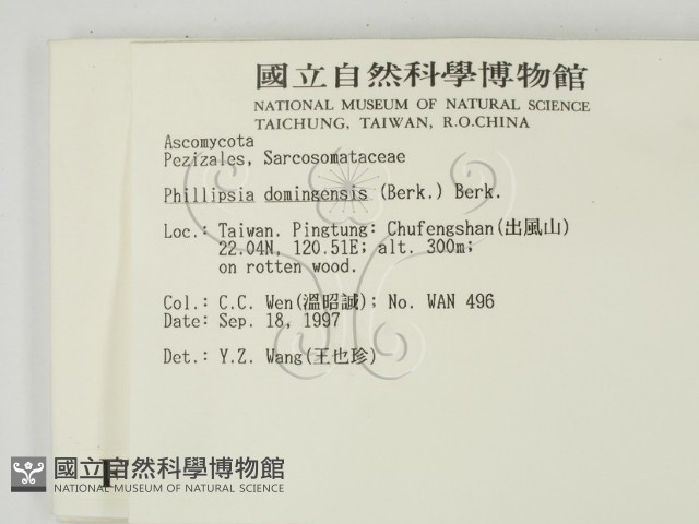 登錄號:F0007681藏品圖，第2張