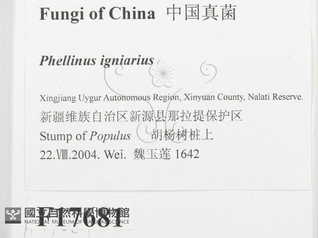 登錄號:F0017681藏品圖，第2張