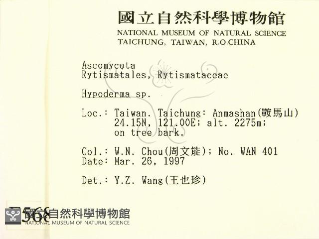 登錄號:F0005681藏品圖，第2張