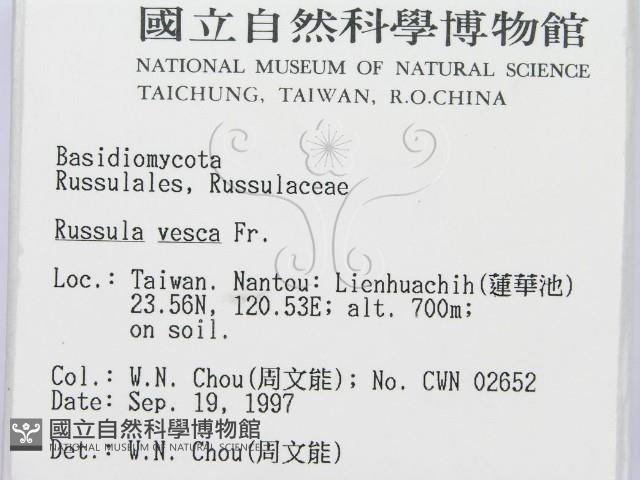 登錄號:F0009681藏品圖，第2張