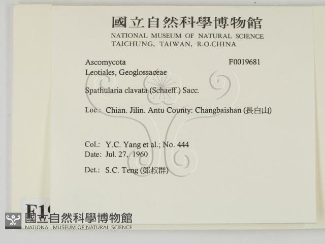 登錄號:F0019681藏品圖，第2張