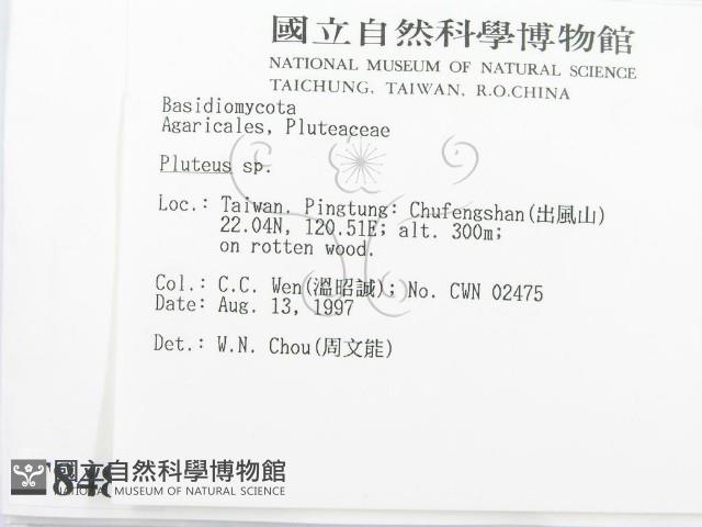 登錄號:F0008481藏品圖，第2張