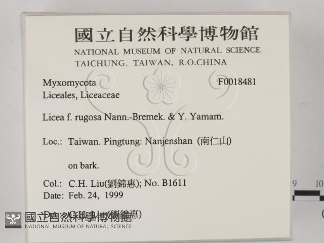 登錄號:F0018481藏品圖，第2張