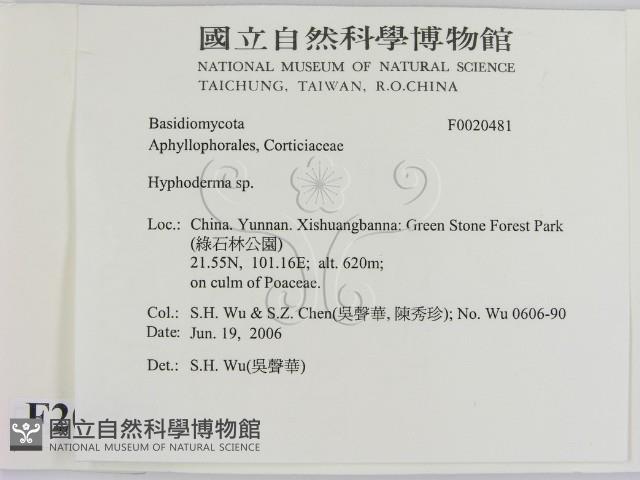 絲皮菌屬藏品圖，第2張