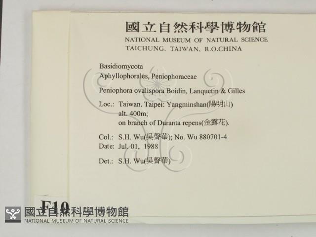登錄號:F0010481藏品圖，第2張