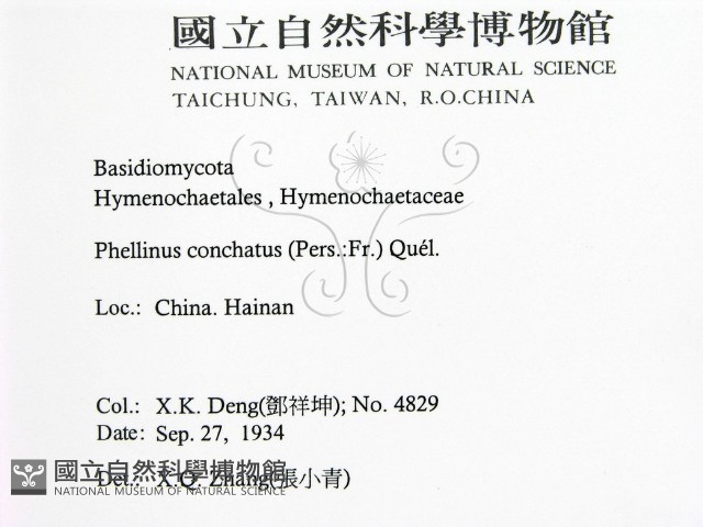 登錄號:F0016481藏品圖，第2張