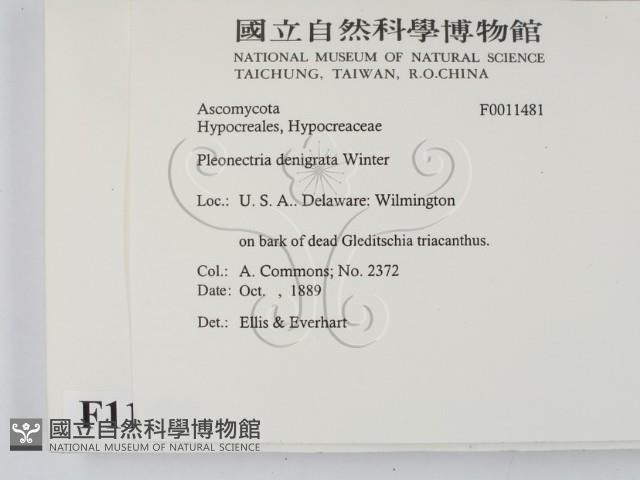 登錄號:F0011481藏品圖，第2張