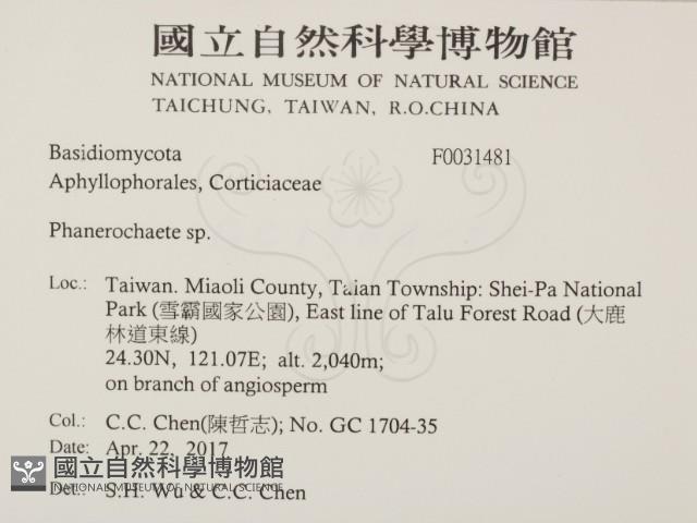 Accession Number:F0031481 Collection Image, Figure 2, Total 2 Figures