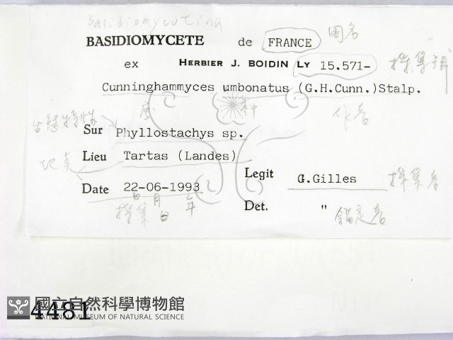 登錄號:F0004481藏品圖，第2張