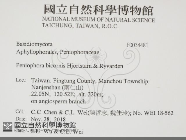 登錄號:F0034481藏品圖，第2張