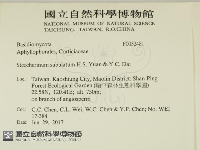 登錄號:F0032481藏品圖，第2張